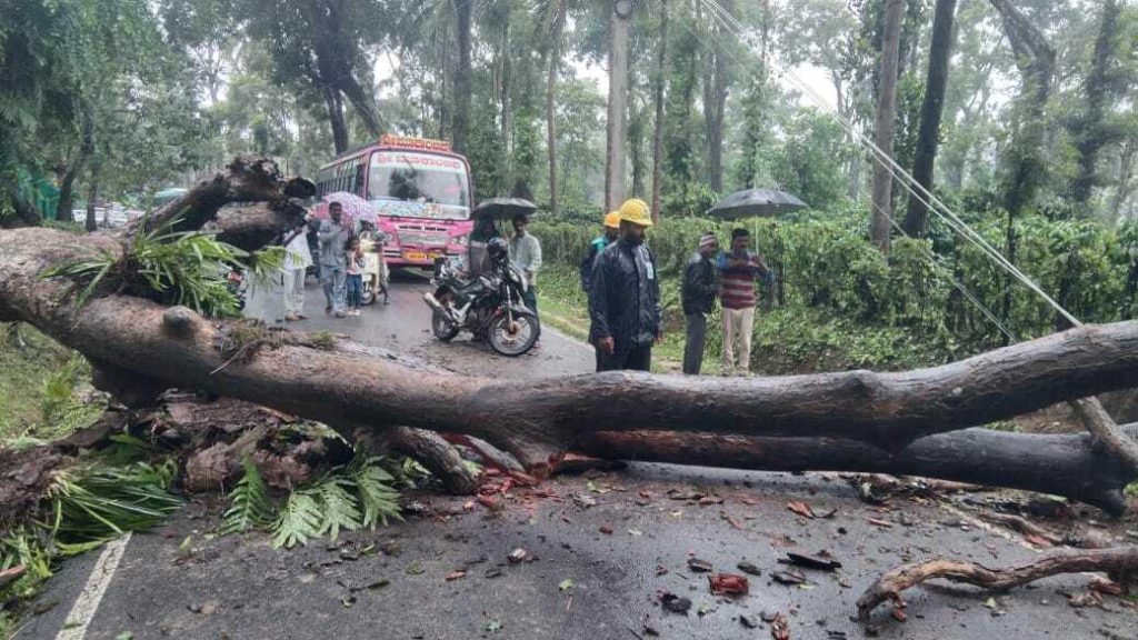 Strong Winds Uproot Trees and Disrupt Traffic Movement disasters new 3