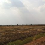 agriculture 3