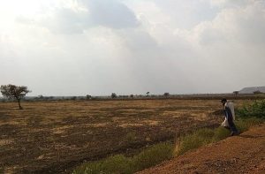 agriculture 3
