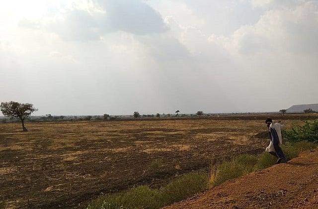 agriculture 3
