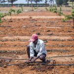 agriculture 4
