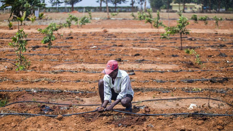 agriculture 4