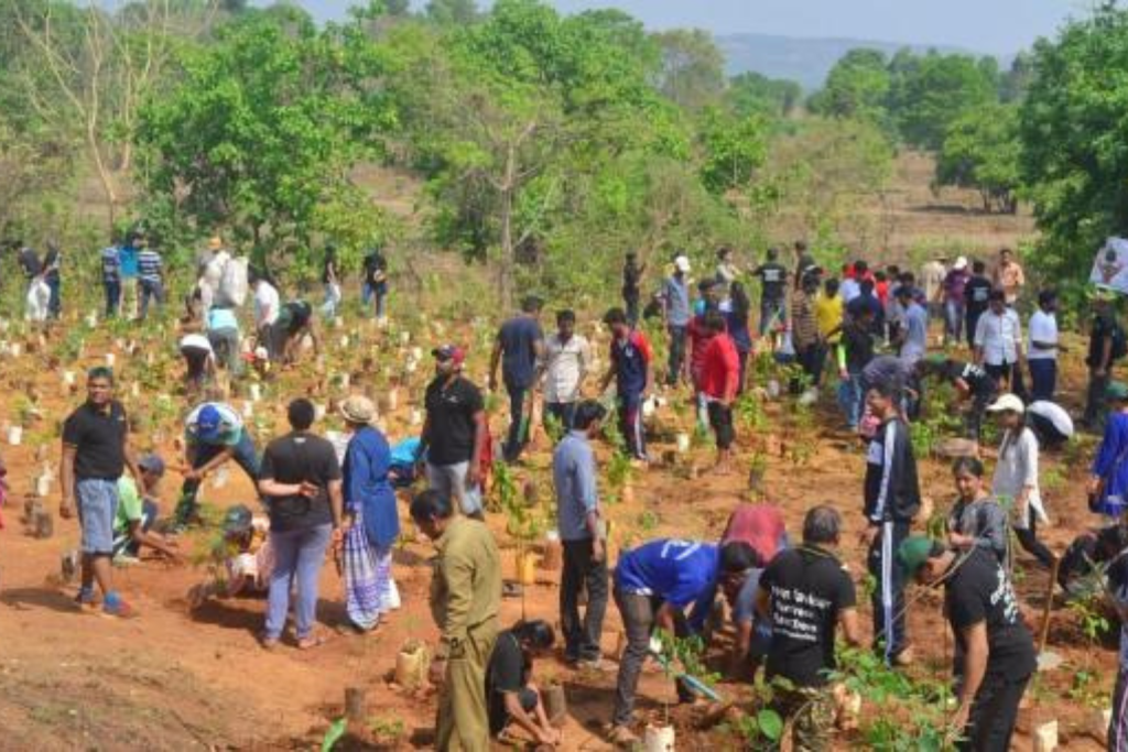 Green Initiative Gains Momentum Across Chamarajanagar breaking 4