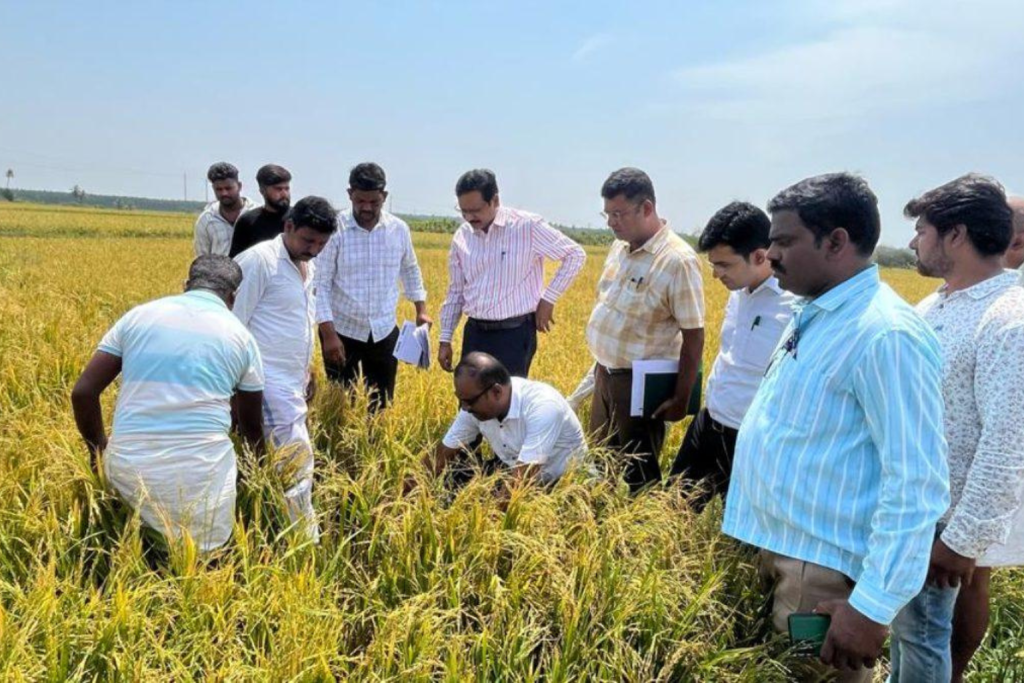 Government Reviews Compensation for Rain-Affected Farmers breaking 7
