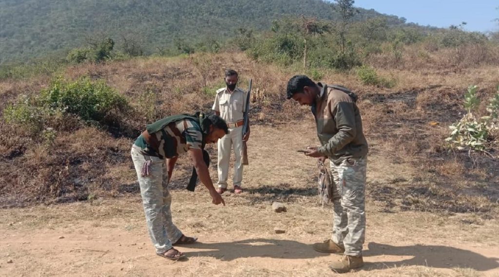 Forest Officials Crack Down on Illegal Wildlife Crime Network crime news 1